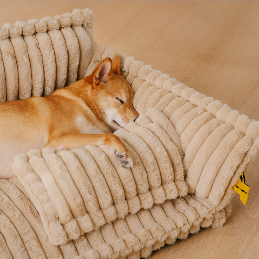 RestiPaw™ – Vaskbar Ortopædisk Hundesofa-Seng