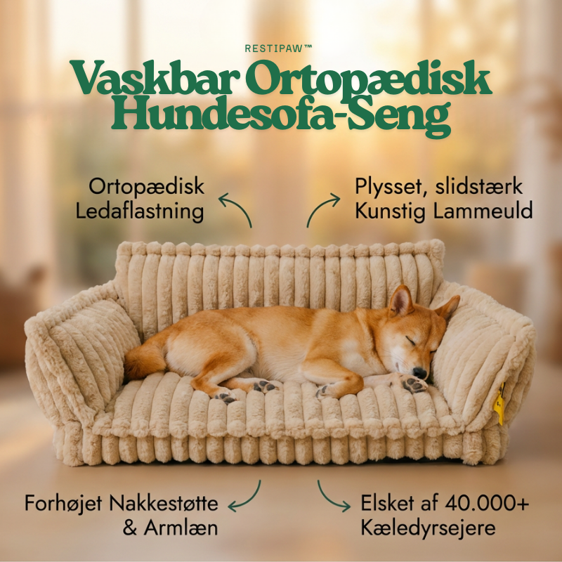 RestiPaw™ – Vaskbar Ortopædisk Hundesofa-Seng