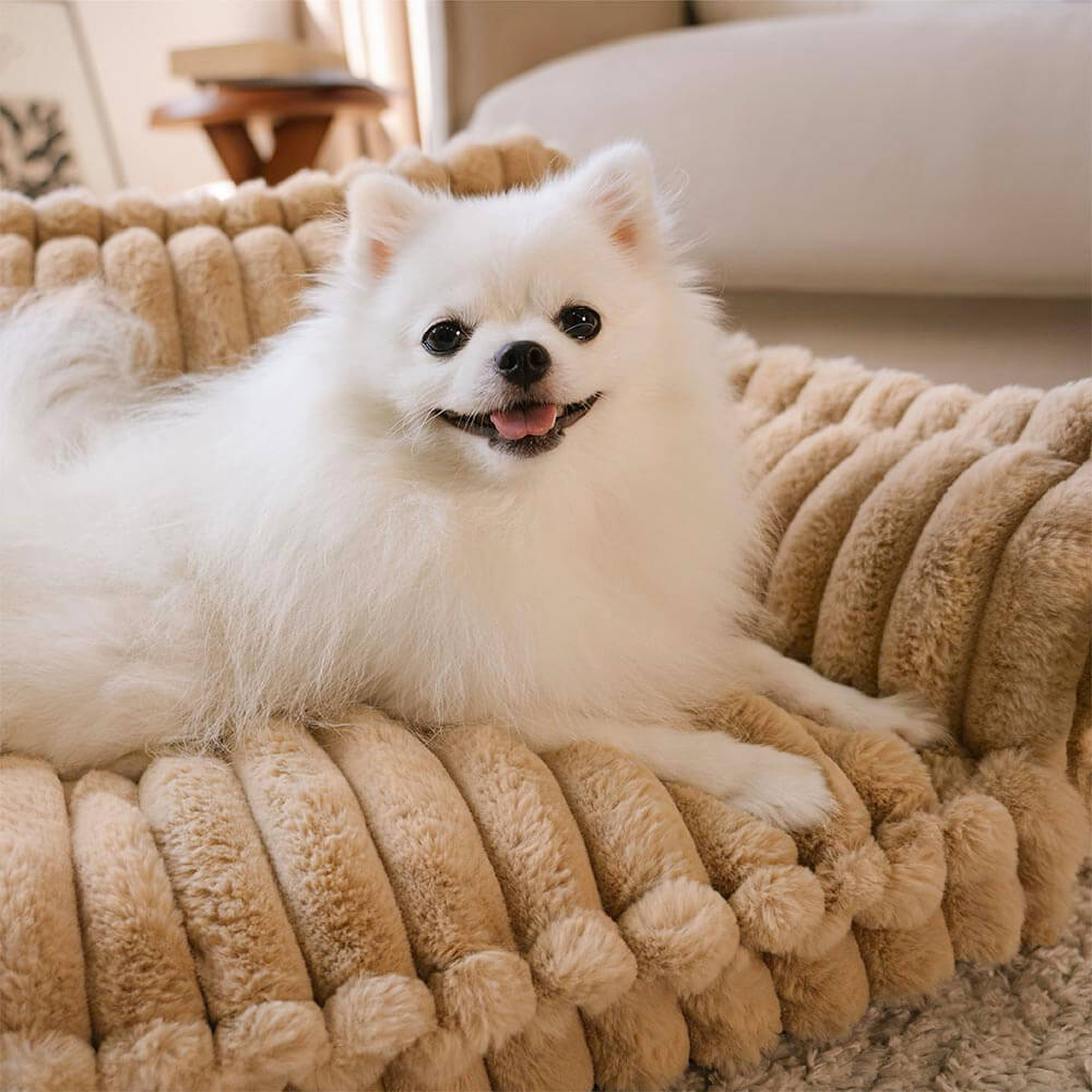 RestiPaw™ – Vaskbar Ortopædisk Hundesofa-Seng