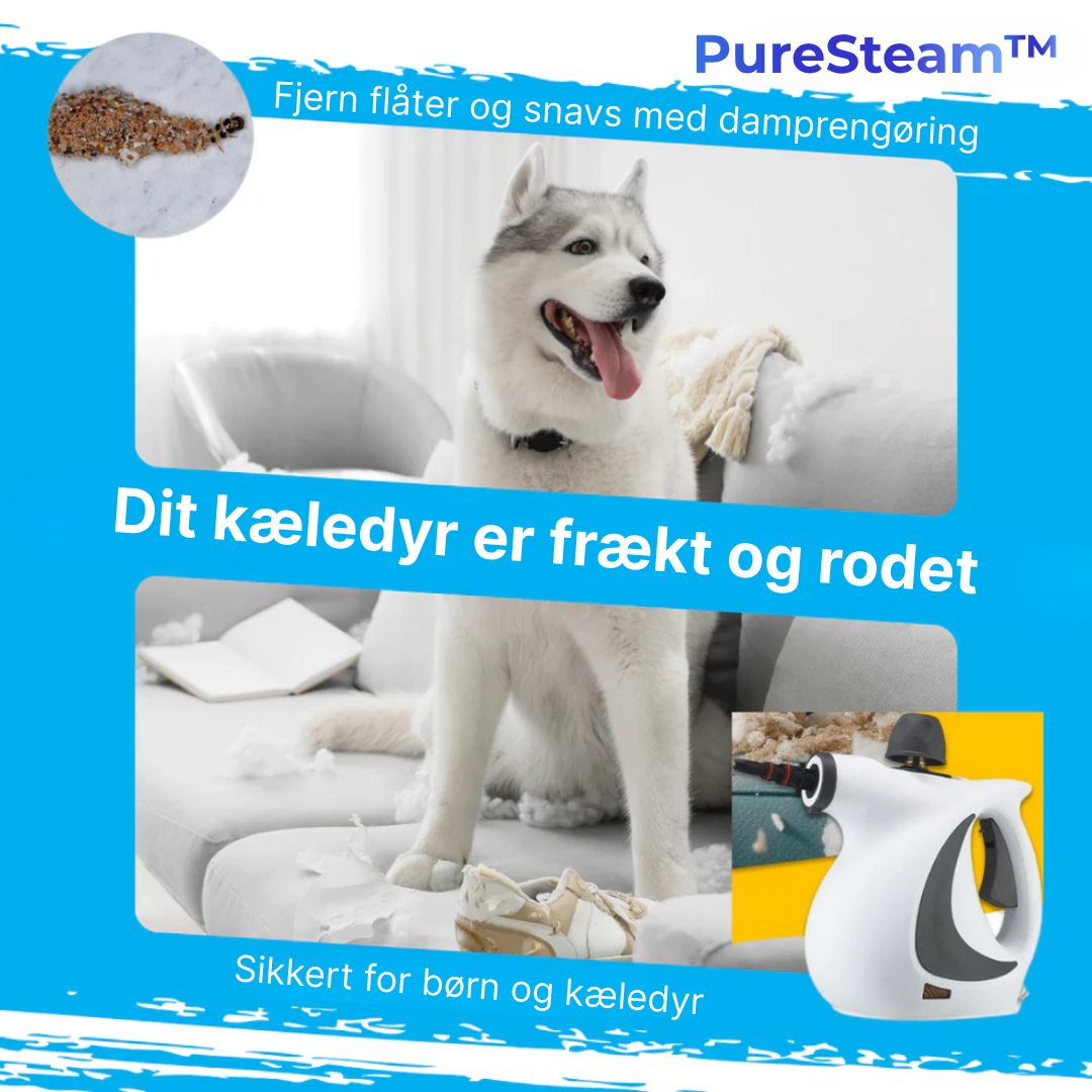 PureSteam™ MAX | Rengør Rent – Uden Kemi. Kun Damp.