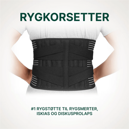 PosturePro™ – Ryg & Lænderygsstøtte