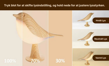 FuglRo™ | En Lampe Der Bring Natur, Lys og Ro Ind I Dit Hjem